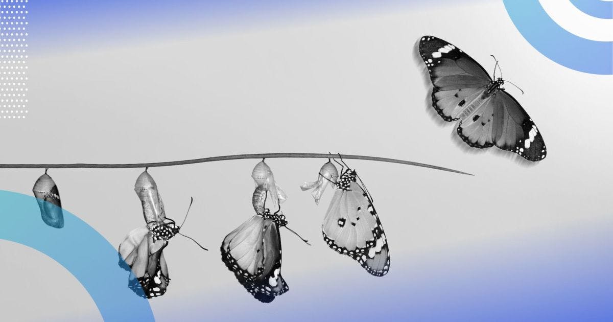 11 PRACTICAL WAYS TO CREATE A CULTURE OF ADAPTABILITY