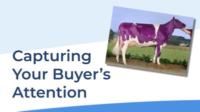 Capture Buyer Attention Thumb