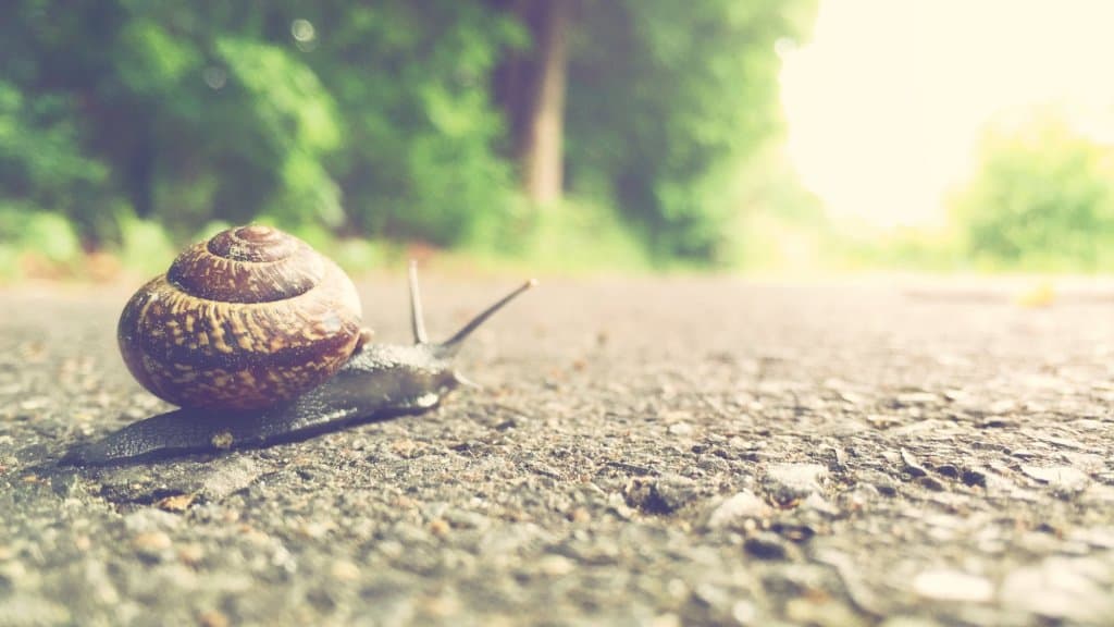What's the Rush? Slowing Down to Speed Up