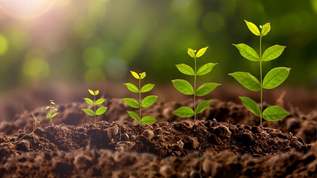 How to Build the Right Team for Business Growth
