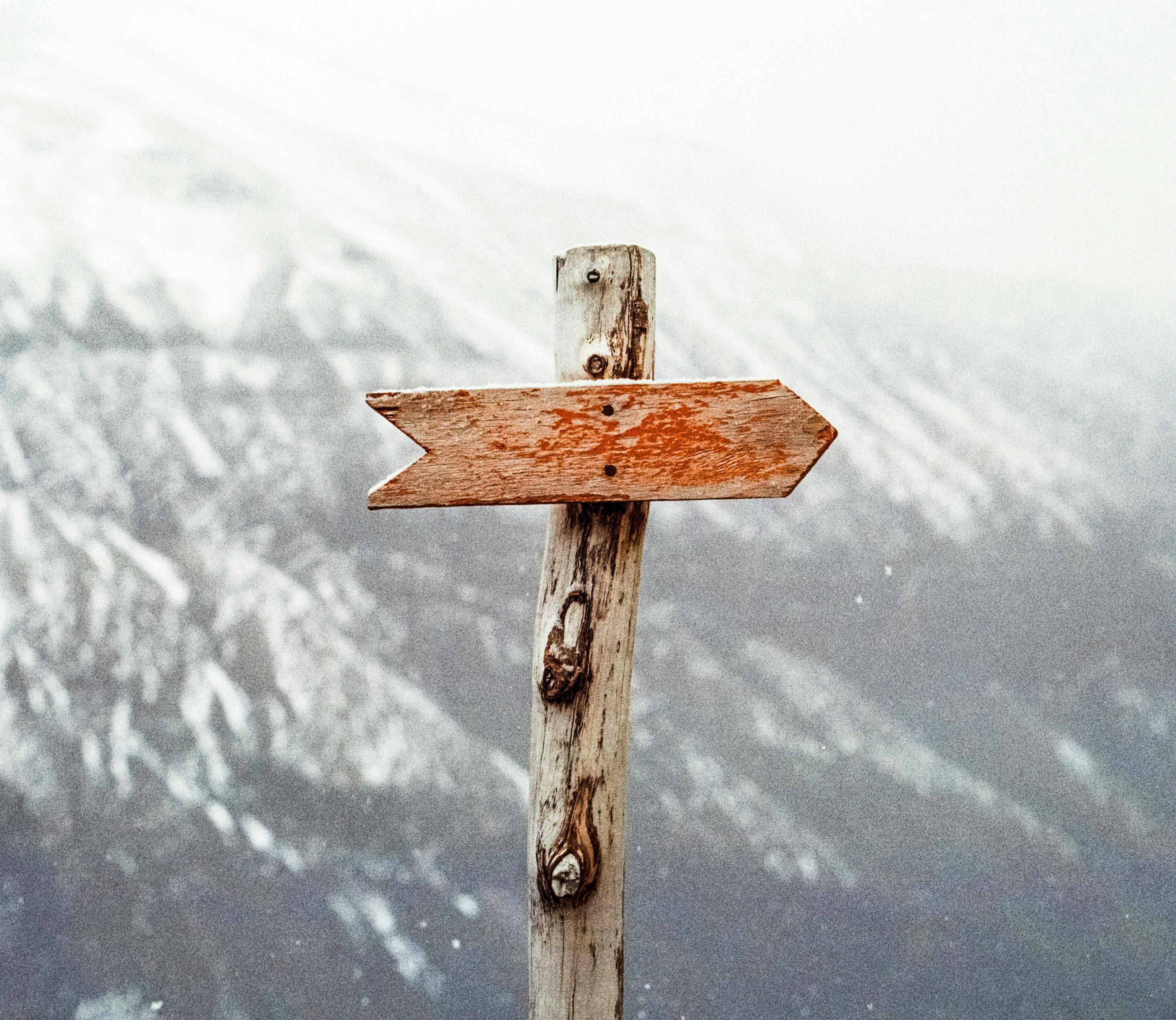 5 Tips to Finding the Right Guide for Your Entrepreneurial Journey